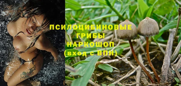 ешки Ростов