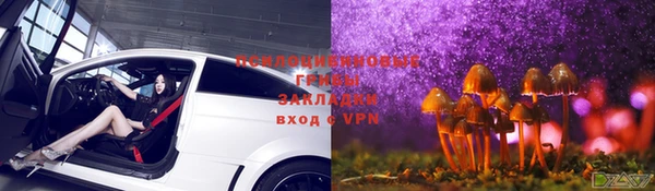 твердый Покровск