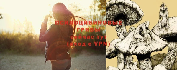 твердый Покровск